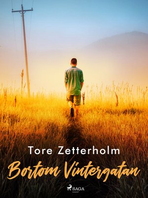 cover image of Bortom Vintergatan